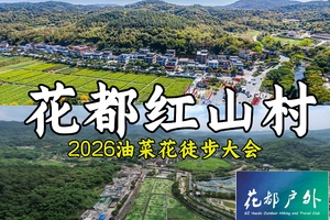 成行！3月8日星期日【广州花都红山村油菜花节】徒步大会报名启动！相约三八女神节