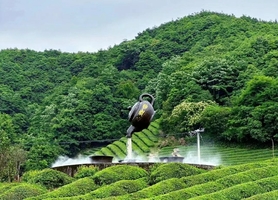 4月11日〡轻徒绍兴云松岭，赏百亩茶园梯田，黄酒小镇赴一场微醺之约