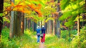 12月20日｜余杭大禹谷娘娘山秋色秘境，色彩斑斓长乐林