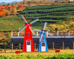 12月14日周日〡 绝美小众秋色秘境-更楼古道