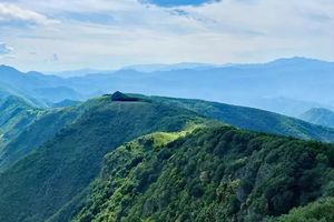 【周六5.23 · 中级】老龙窝 | 穿越林海行走高山草甸，山野寻踪，探秘森林秘境的云端草甸