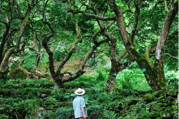 【绿野仙踪】9.1号周日， 探秘魔幻森林，畅游白江湖，体验21℃的夏天，品尝农家美食