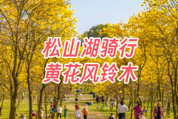 马上满员！【骑行摄影】315周六，东莞松山湖骑行，打卡华为欧洲小镇