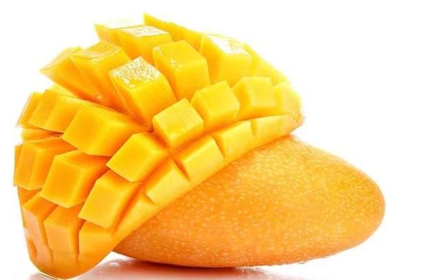 风雪旅行精品特产