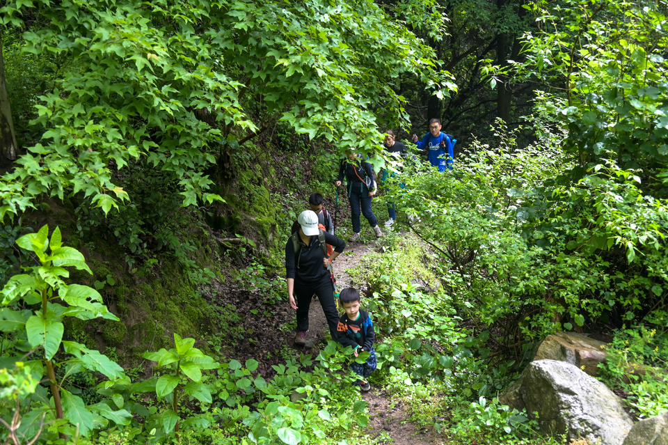 4.29（第二期）-6