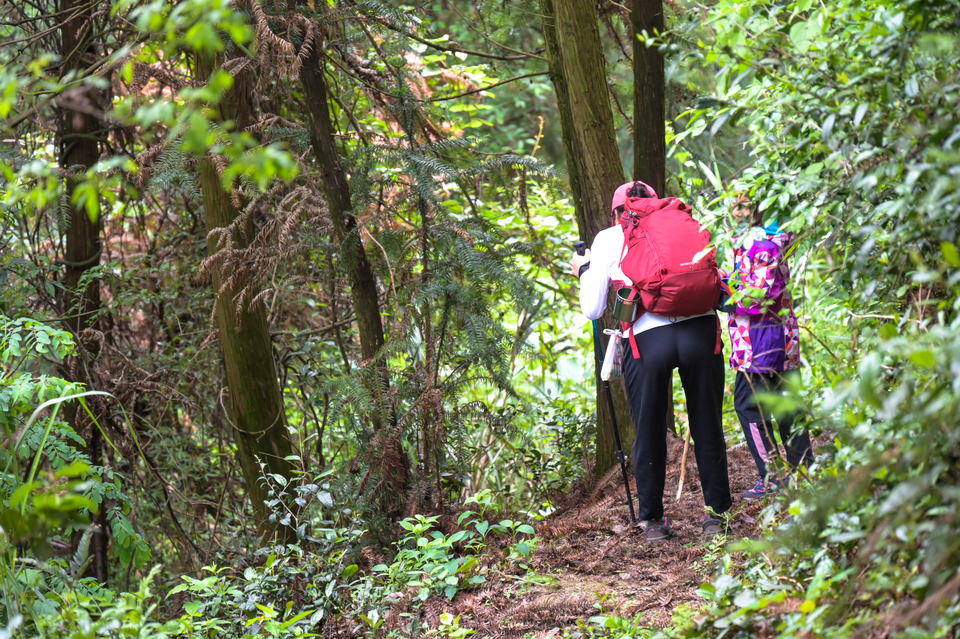 4.29（第二期）-9