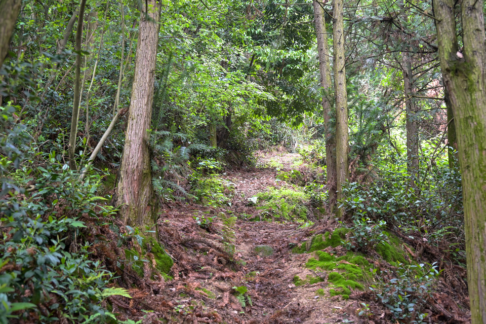 4.29（第二期）-11