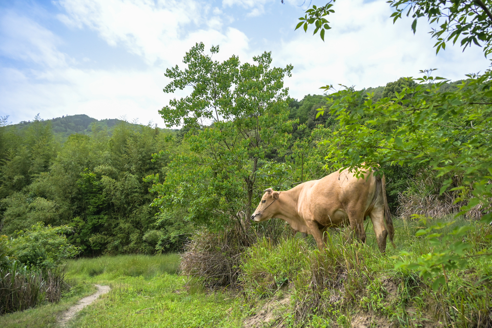 4.29（第二期）-14