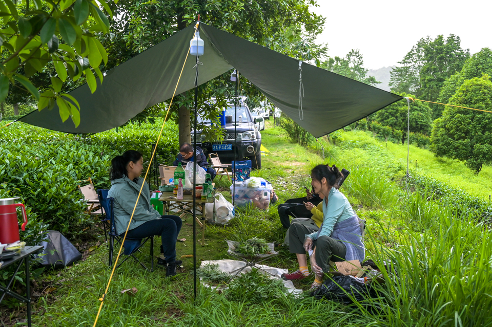 4.29（第二期）-24