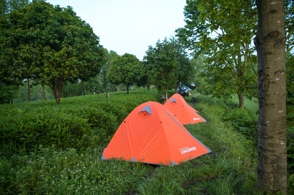 4.29（第二期）-31