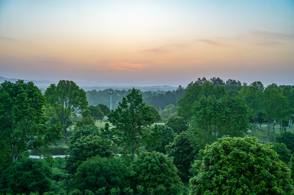 4.29（第二期）-32