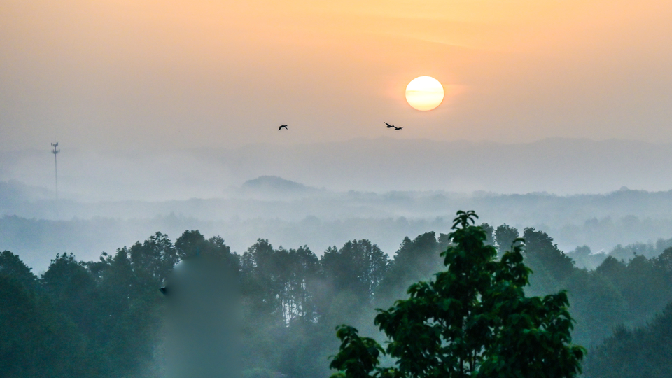 4.29（第二期）-41