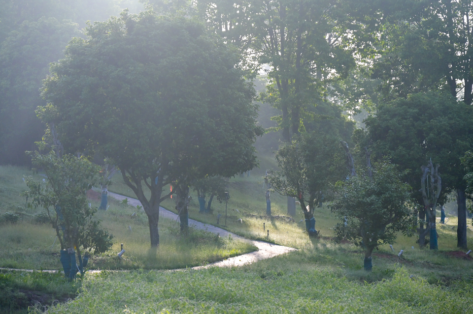 4.29（第二期）-47