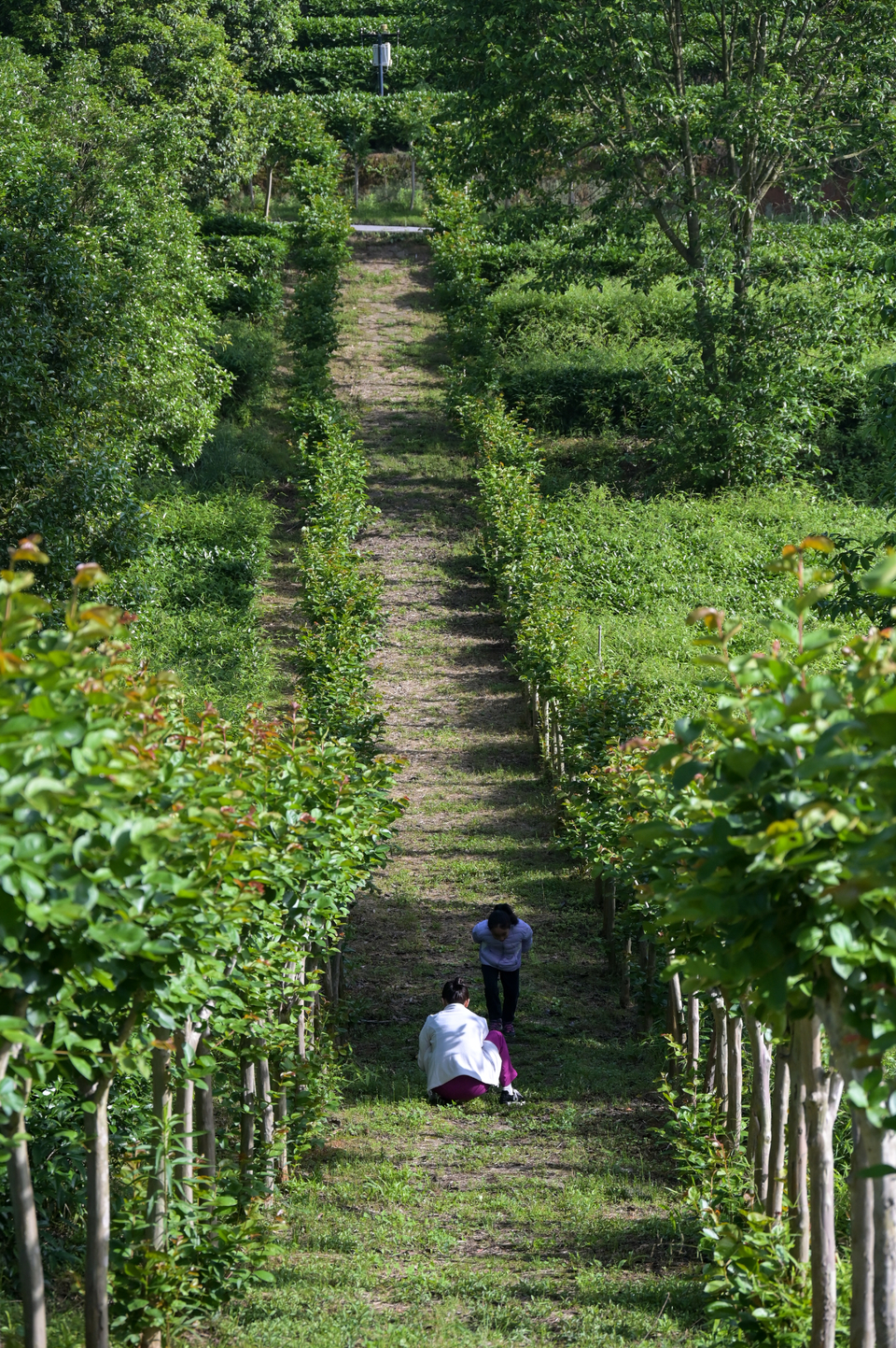 4.29（第二期）-54