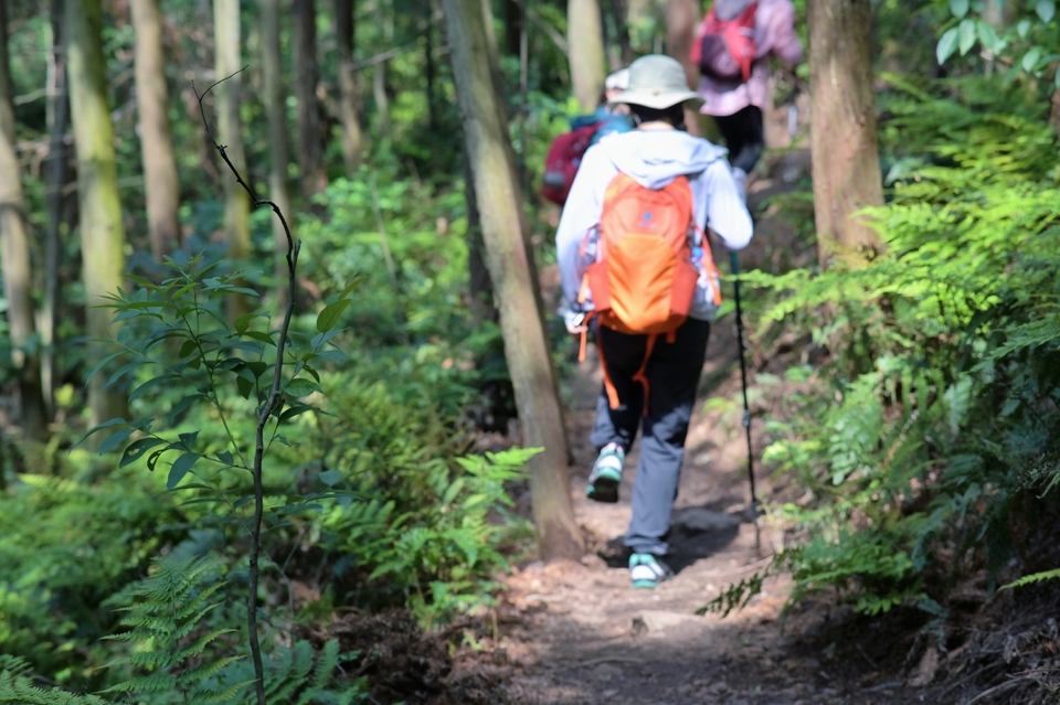 微信图片_20230510153113