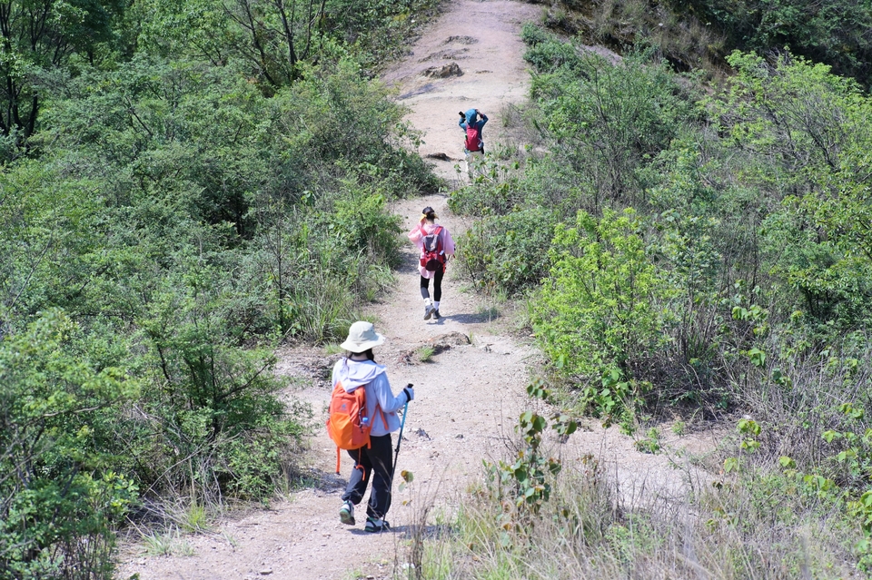 微信图片_20230510153135