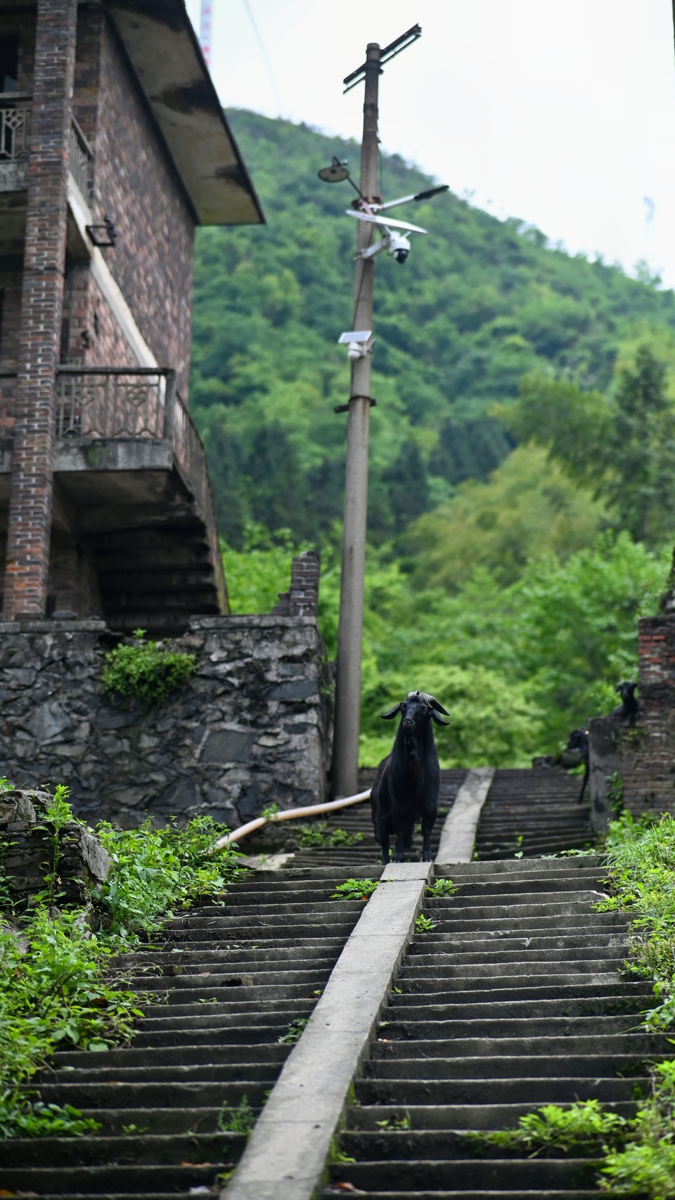 retouch_2024050518522001