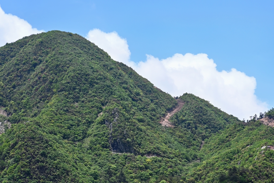 retouch_2024050518584368