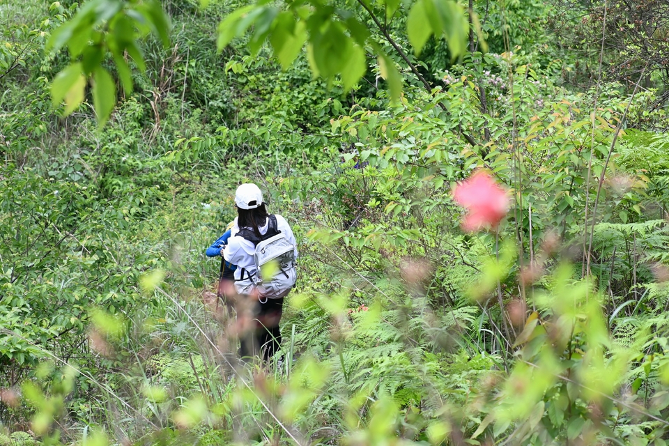 retouch_2024050519002418