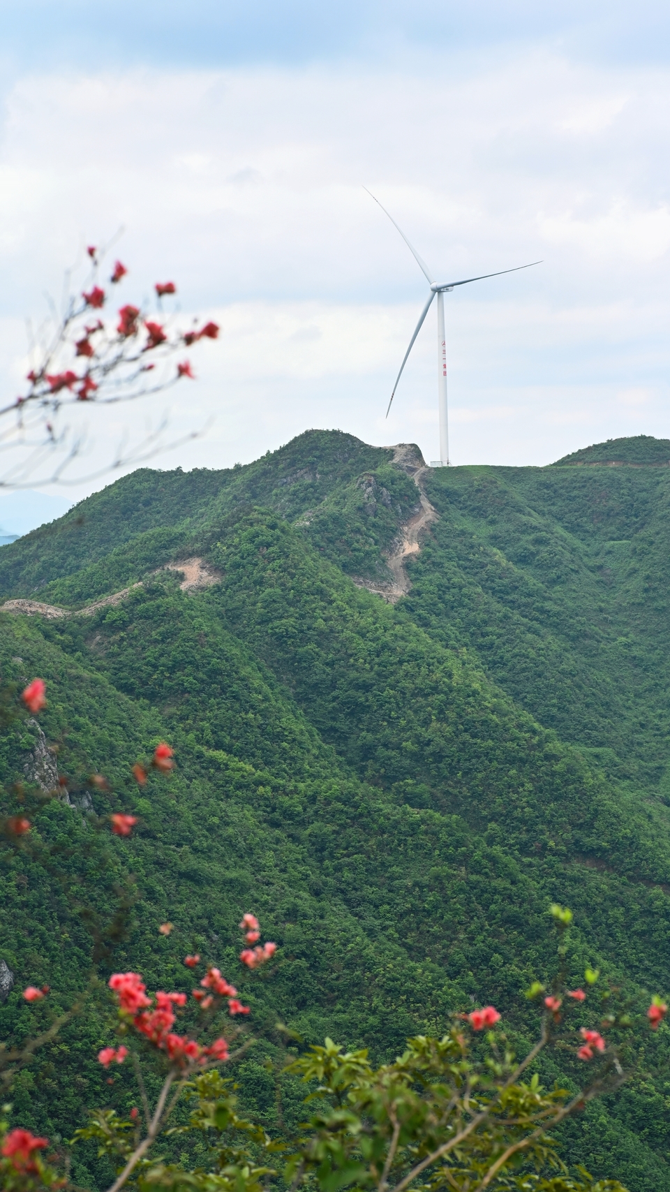 retouch_2024050519363815