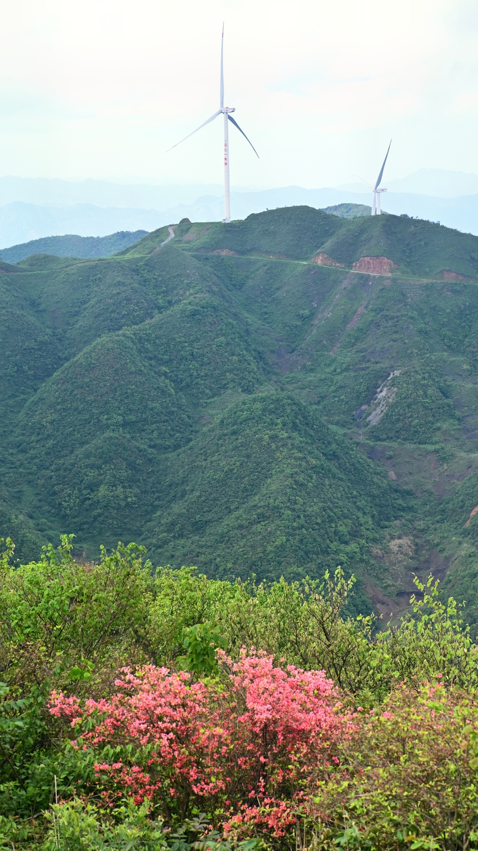 retouch_2024050519431588