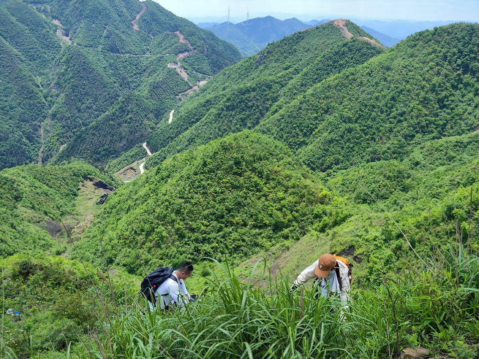 retouch_2024050519534898