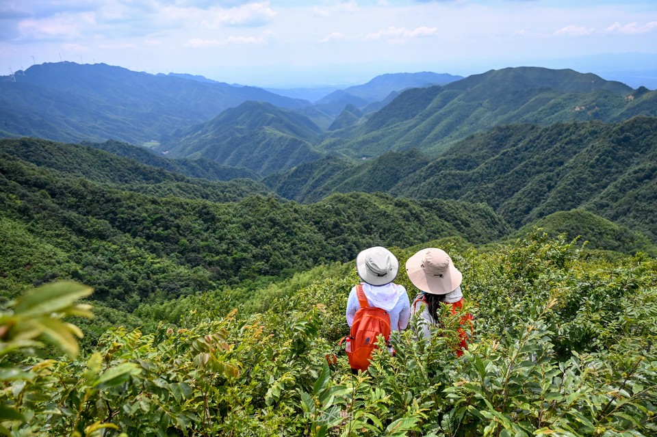 20240714太和仙-18