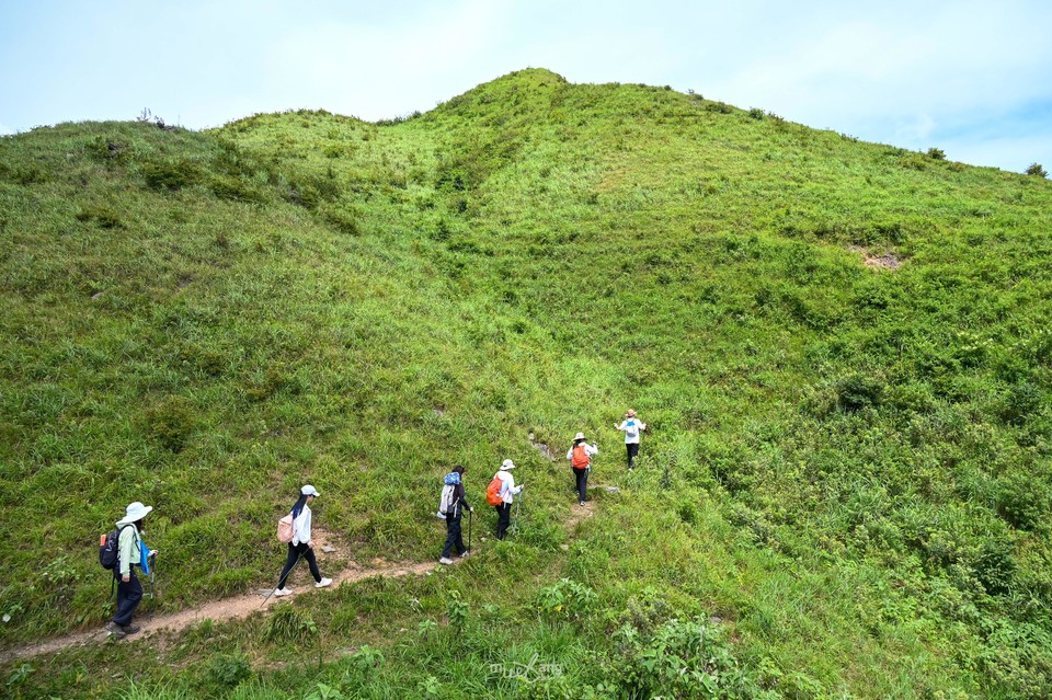 20240714太和仙-36