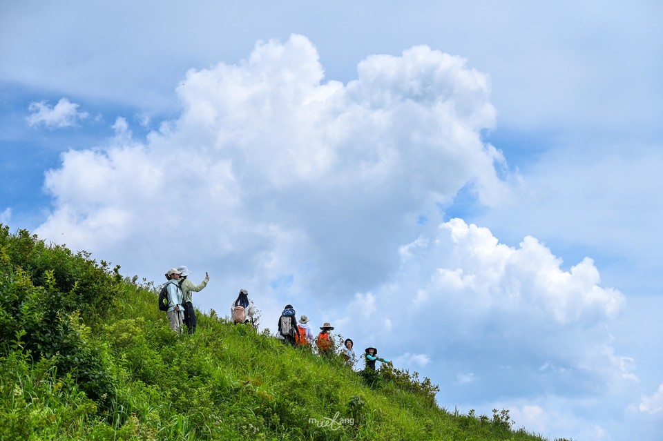 20240714太和仙-39