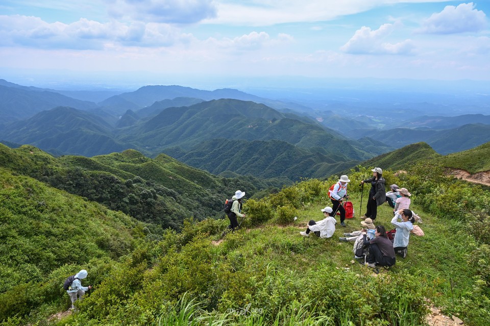 20240714太和仙-71