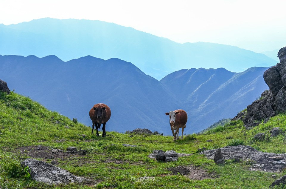 狮子口重装徒步-56
