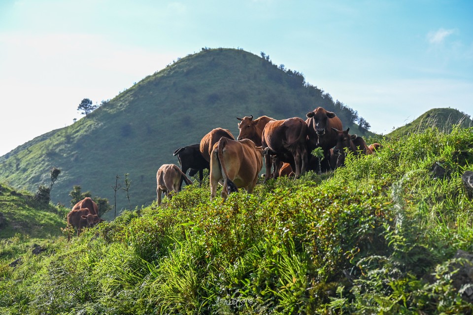 狮子口重装徒步-66