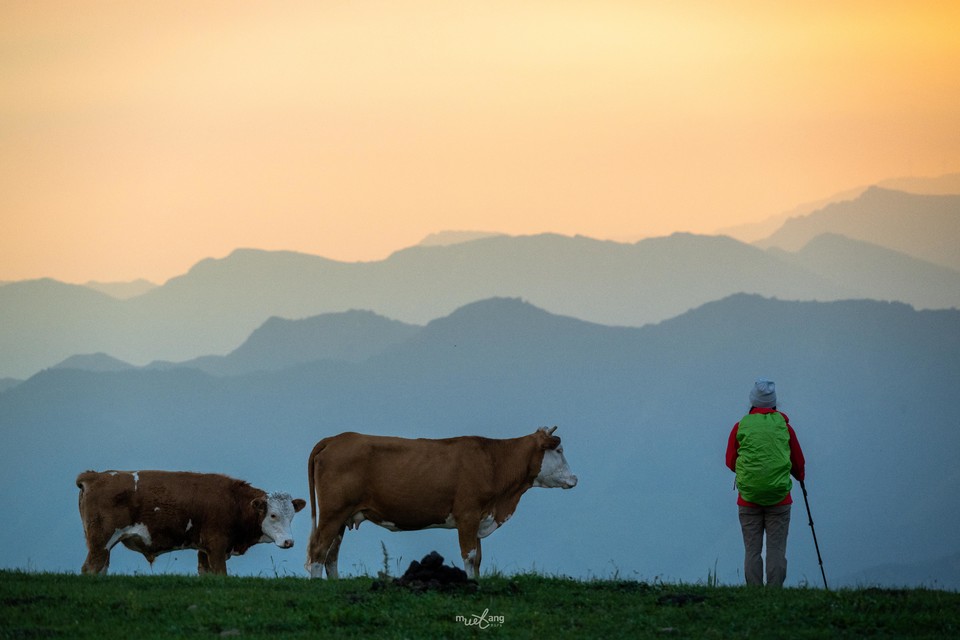 微信图片_20240829145843