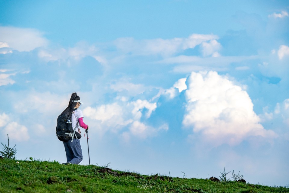 微信图片_20240829145906