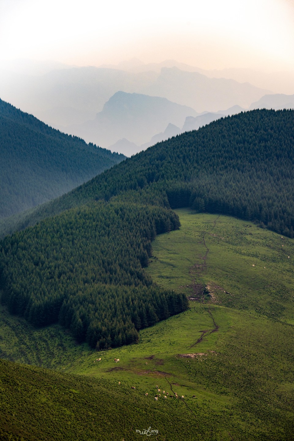 微信图片_20240829145911