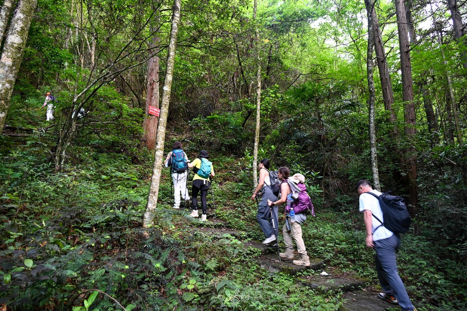 2024720八面山徒步-3