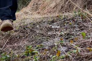 平江石牛寨野线徒步