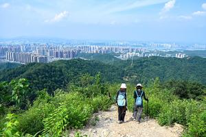 郊野长沙 | 谷山森林公园8字线7公里徒步穿越（难度2.5颗星）