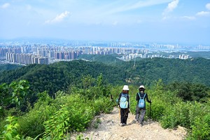 郊野长沙 | 谷山森林公园8公里徒步爬山（难度2.5颗星）