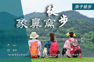 象鼻窝徒步：原始森林徒步，LNT法则实践，守护象鼻窝！