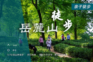 岳麓山徒步：探访湖湘千年古寺，邂逅神秘穿石坡湖，穿越森林茶园！