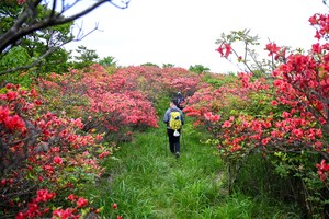【1日往返】浏阳大围山森林公园1日徒步探索浏河源头