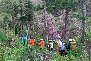 云上草原，探索丽江最后的净土——格拉丹4天3晚轻装徒步露营！