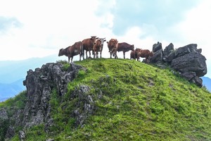“湖南阿勒泰”郴州狮子口2天1晚轻装徒步！（郴州西集合）