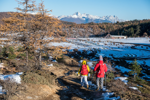香格里拉徒步：千湖山、虎跳峡4天3晚亲子徒步