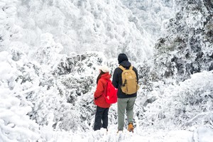 1天1晚南岳衡山冰雪世界，野径徒步赏雾凇！