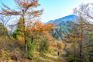南岳衡山弥陀古道最美山脊线、禹王城15公里环线徒步!