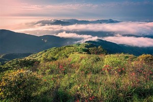 湖南屋脊·酃峰2天1晚重装徒步露营！