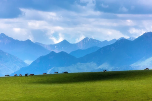 【走进祁连山】乌鞘岭-柴尔龙海-冰沟河-八宝河谷-汉明长城遗址-山丹军马场-祁连山草原穿越6日徒步探险之旅！