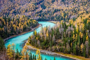 8天7晚徒步喀纳斯，穿越金色童话，邂逅秋日仙境！